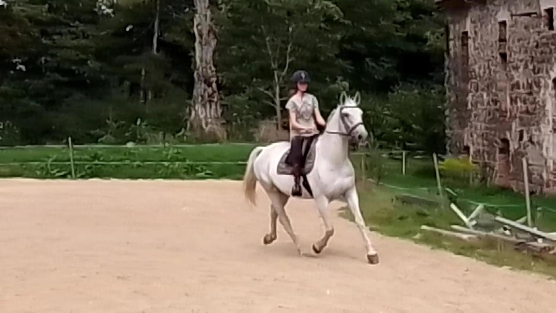 Studniska Country Estate别墅 外观 照片