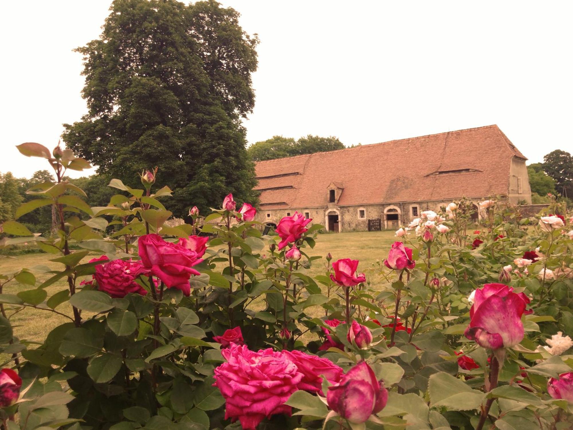 Studniska Country Estate别墅 外观 照片