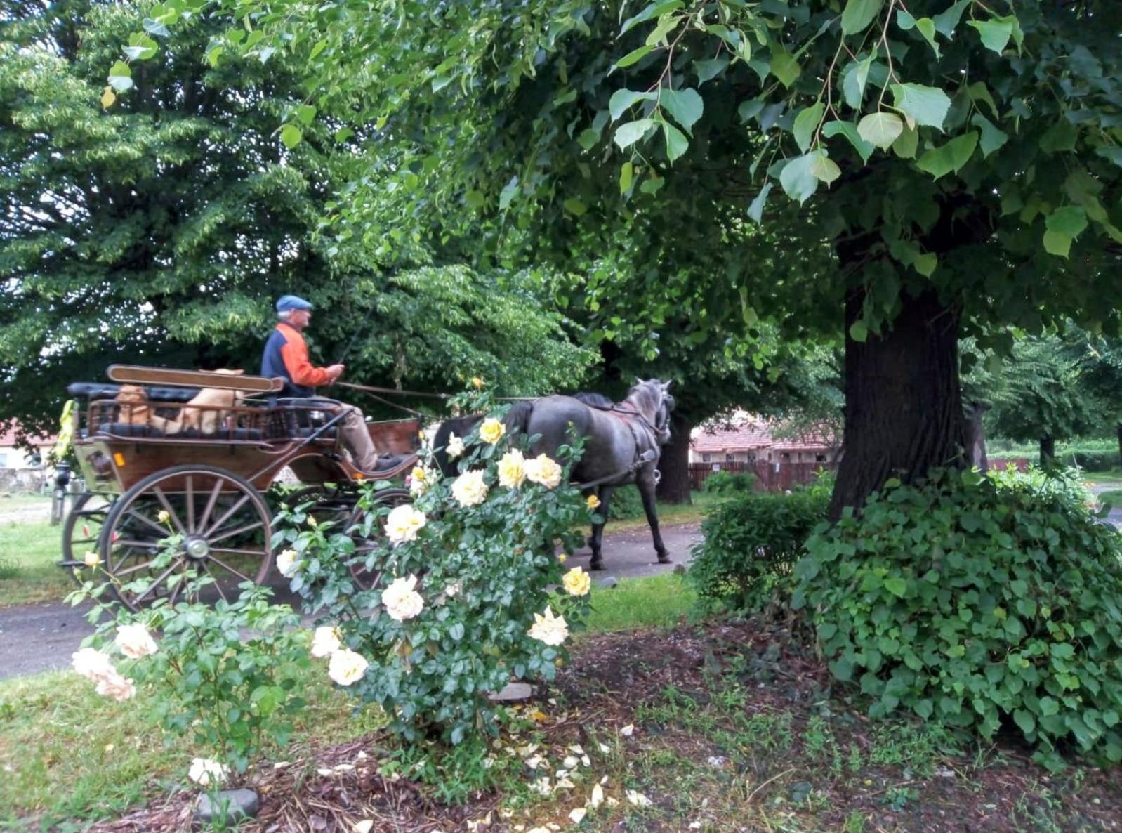 Studniska Country Estate别墅 外观 照片