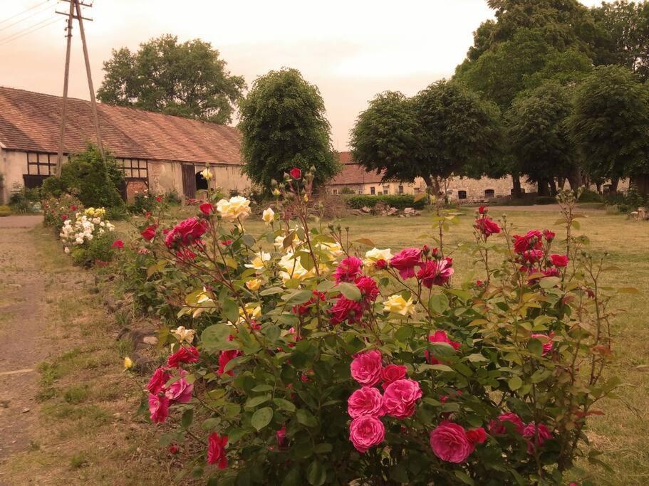 Studniska Country Estate别墅 外观 照片